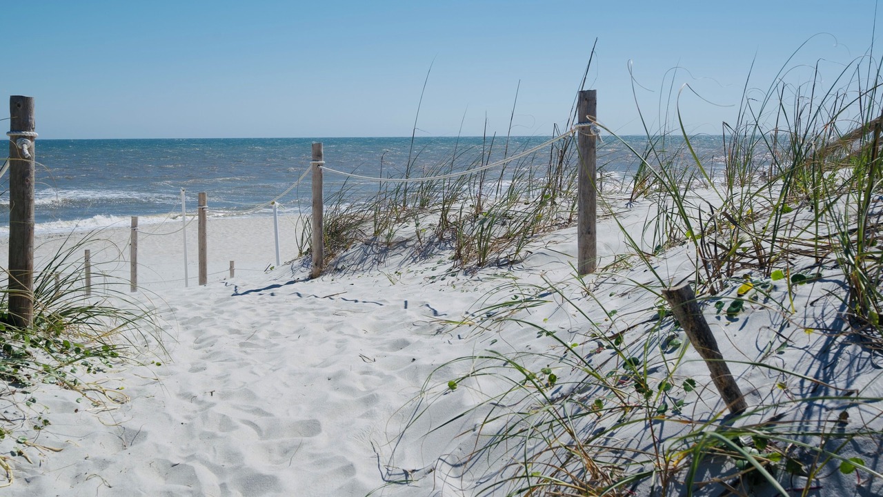 Photo of Others in Jacksonville Beach