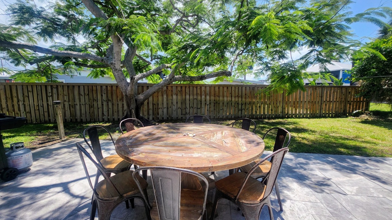 Photo of Outdoor in South Island
