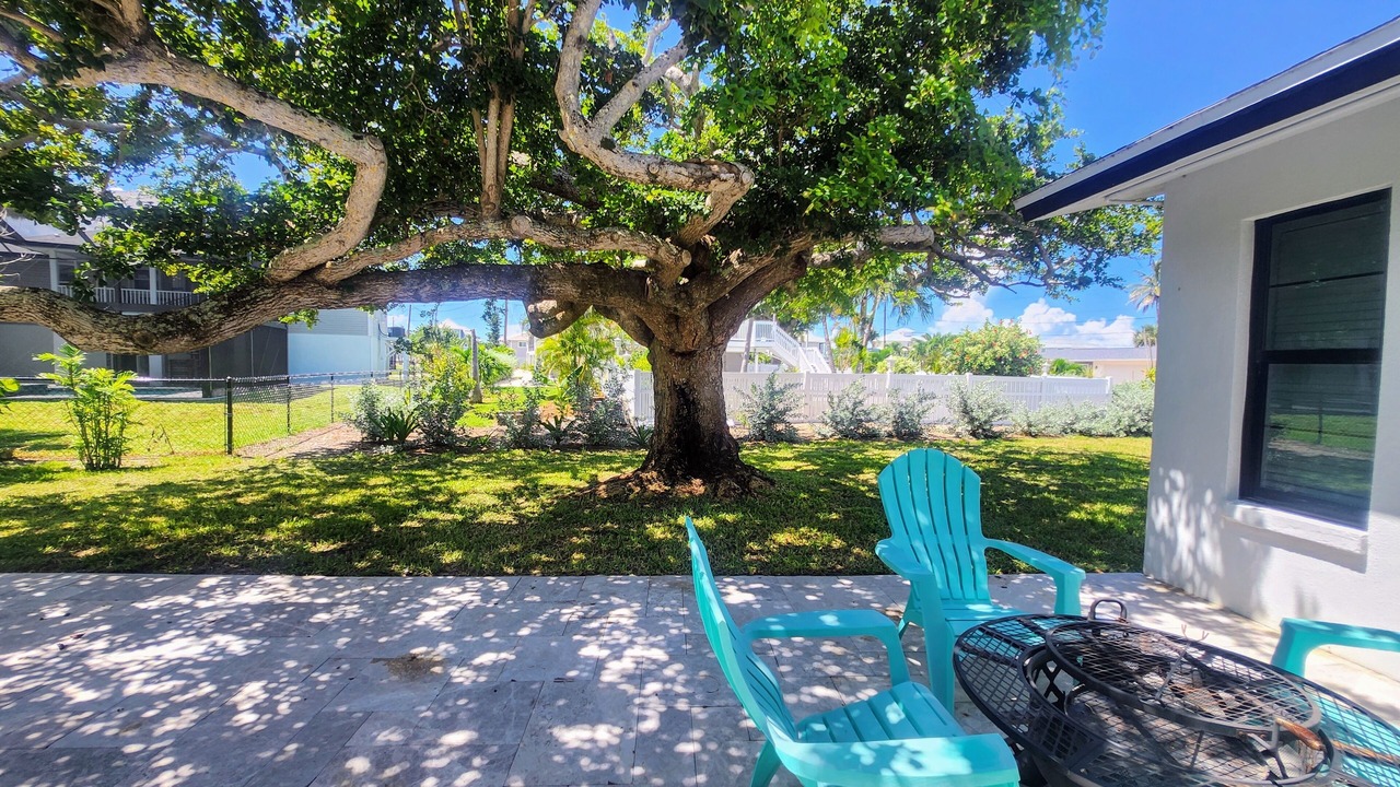 Photo of Outdoor in South Island