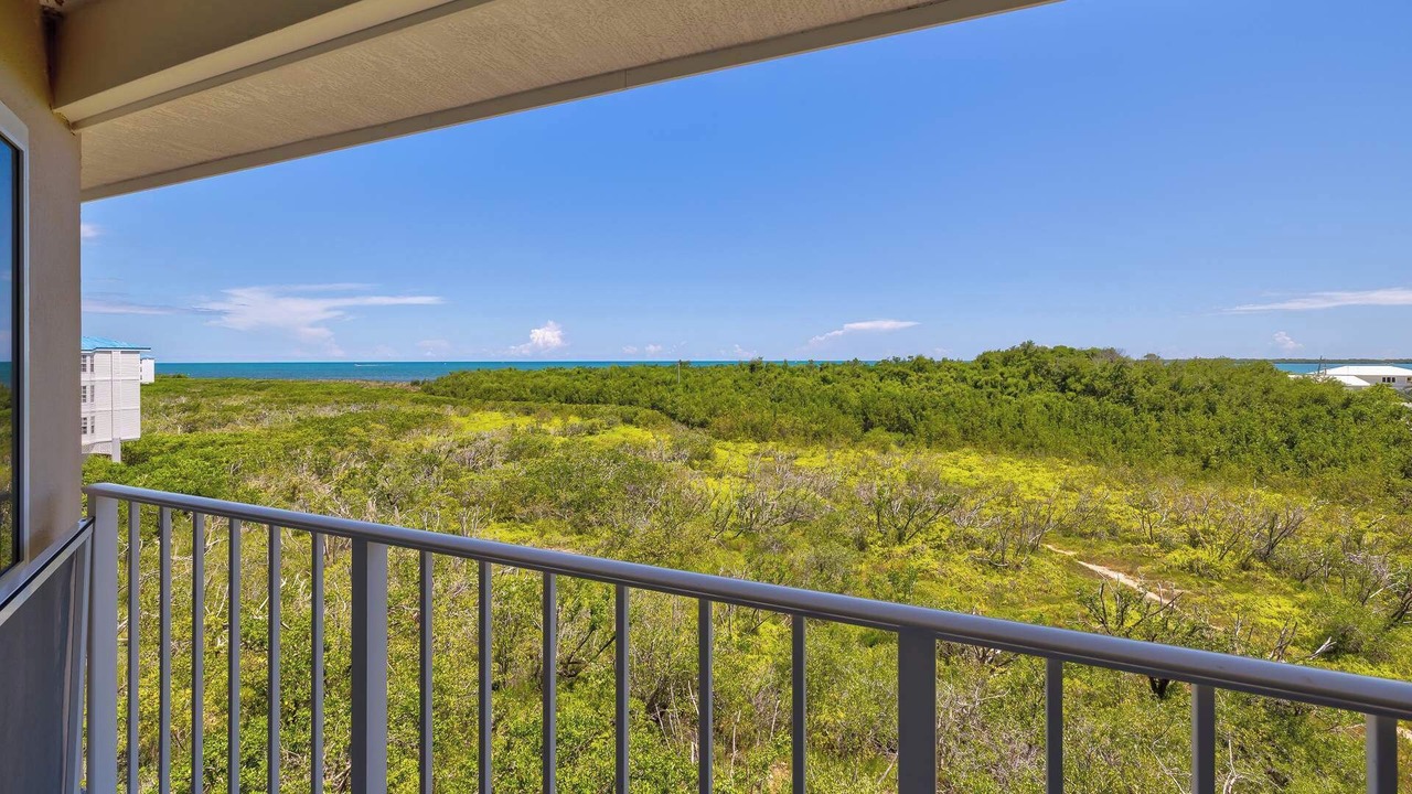Photo of Outdoor in Tavernier