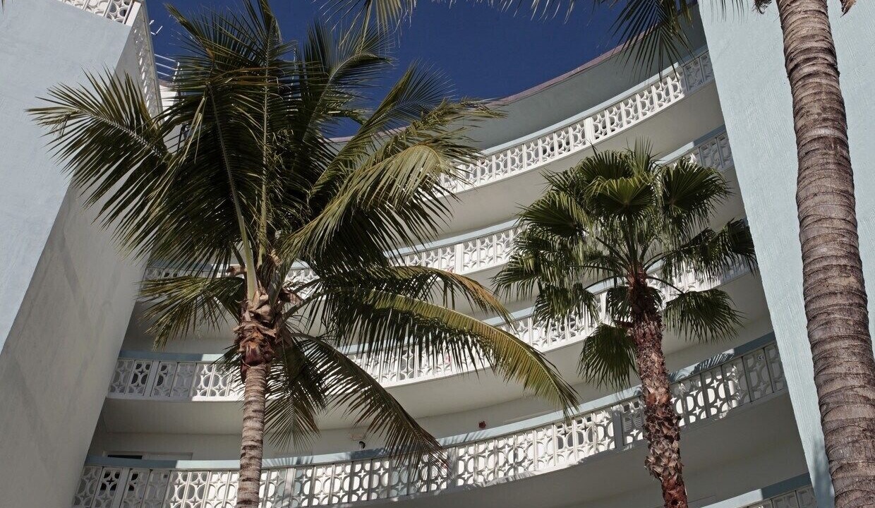 Photo of Outdoor in Dolphin Isles