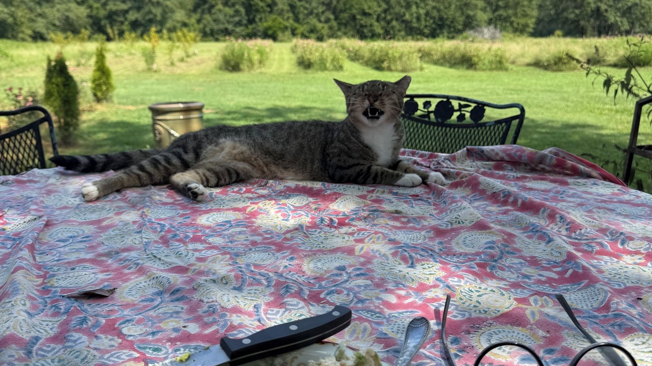 Photo of Others in South Carolina Lakes & Blackwater Rivers