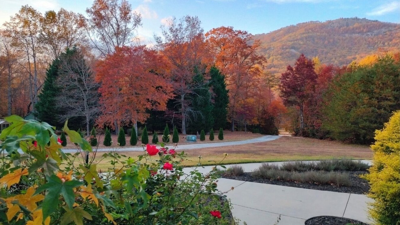 Photo of Outdoor in Tigerville