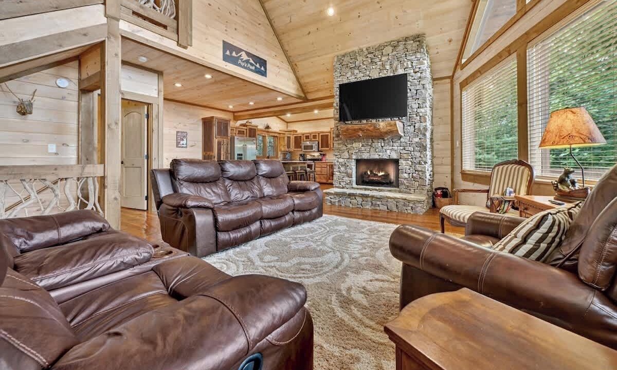 Photo of Livingroom in Mineral Bluff