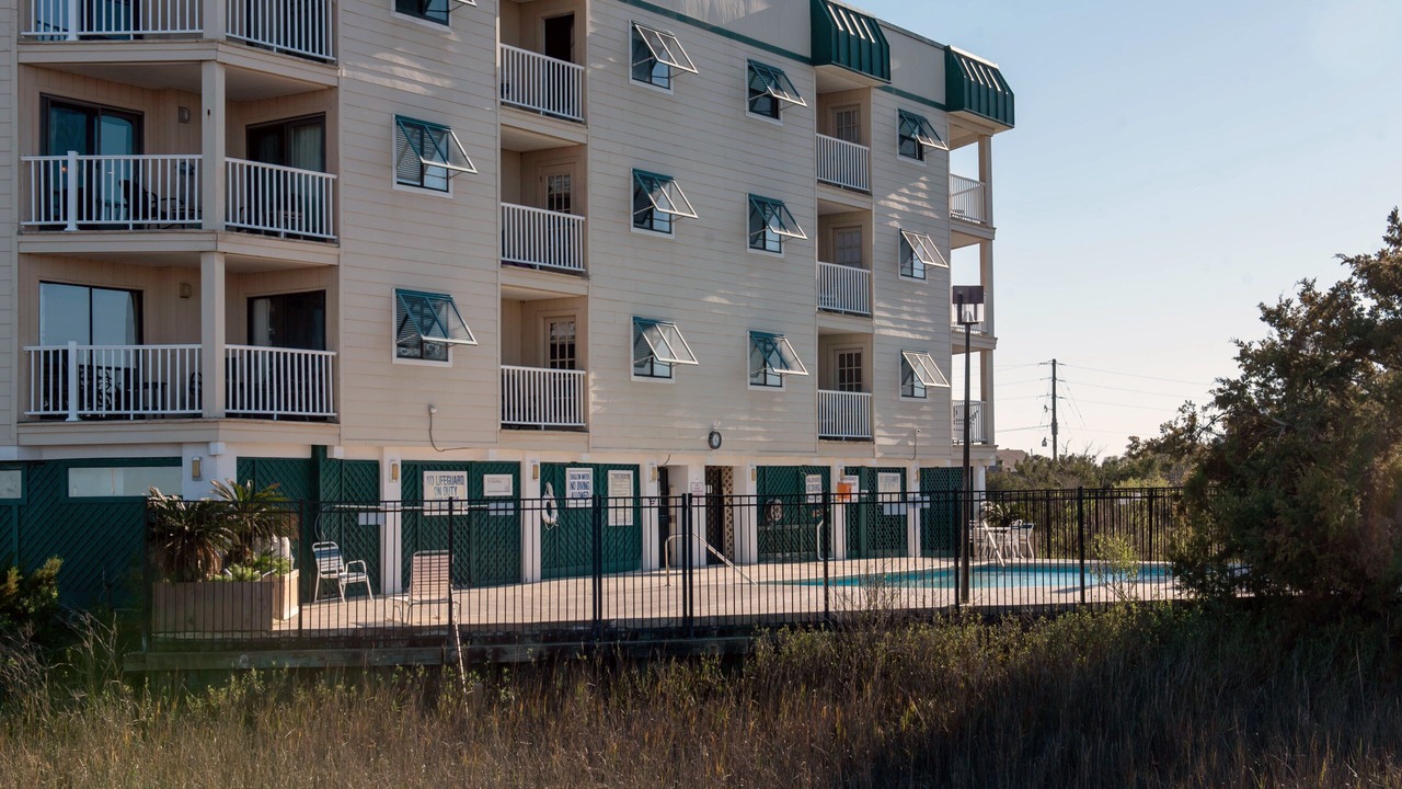 Photo of Outdoor in Edisto Island