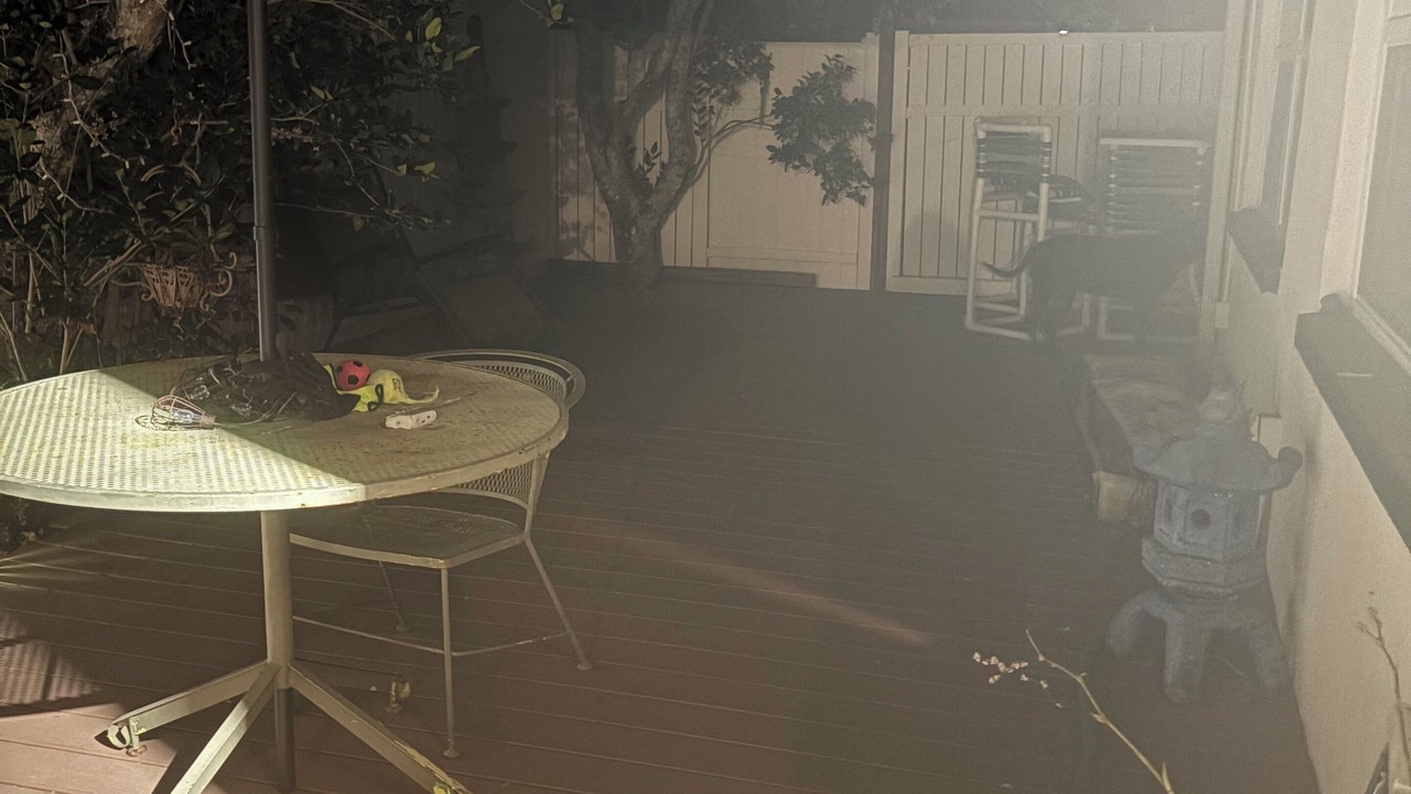 Photo of Outdoor in New Port Richey East
