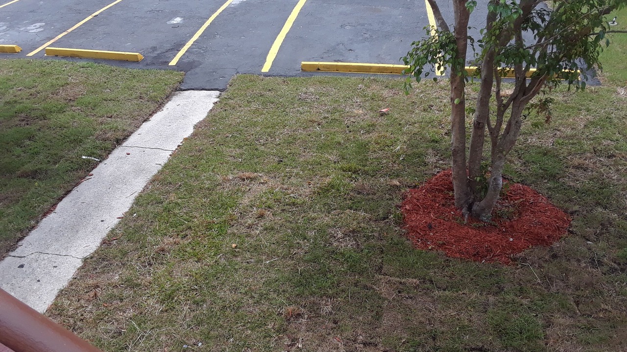 Photo of Outdoor in Riviera Beach