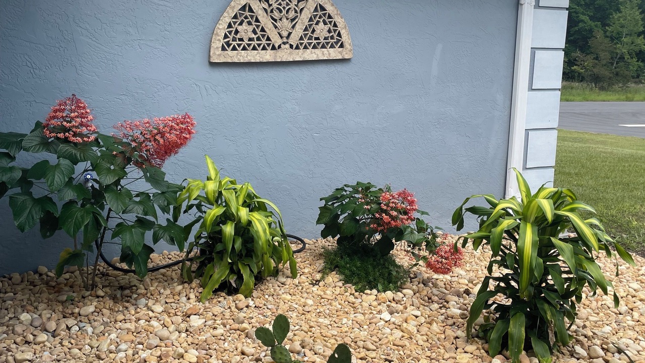 Photo of Outdoor in Citrus Springs