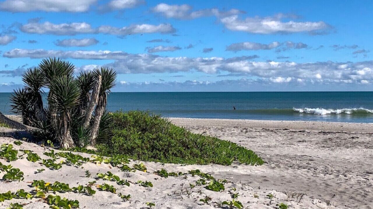 Photo of Others in Port Canaveral
