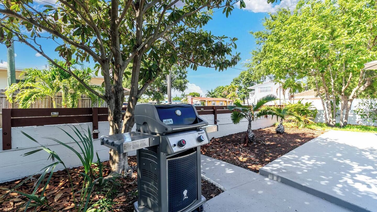 Photo of Outdoor in Royal Poinciana