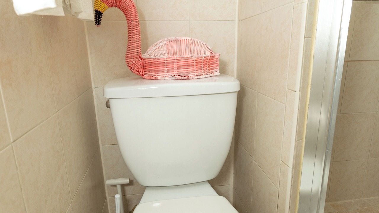 Photo of Bathroom in Coral Way