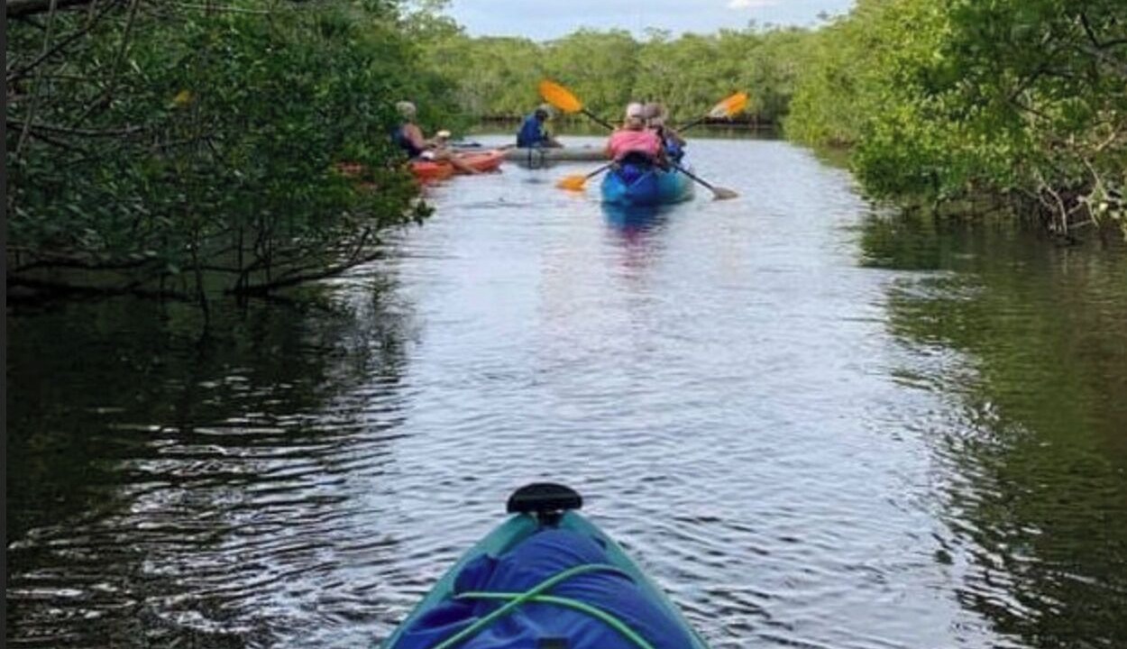 Photo of Others in Sarasota Springs