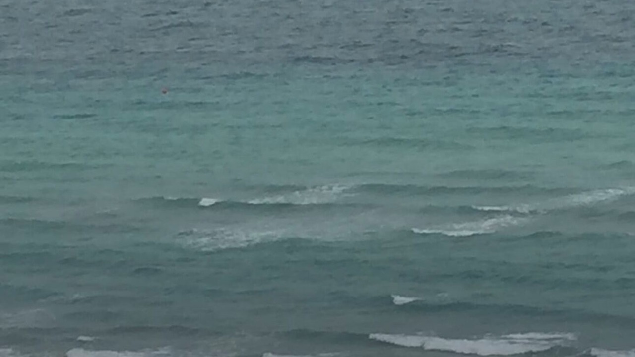 Photo of Others in Lighthouse Point