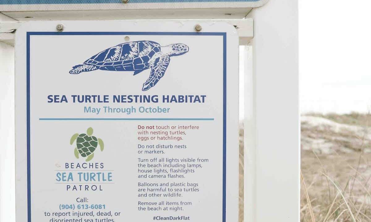 Photo of Others in Neptune Beach