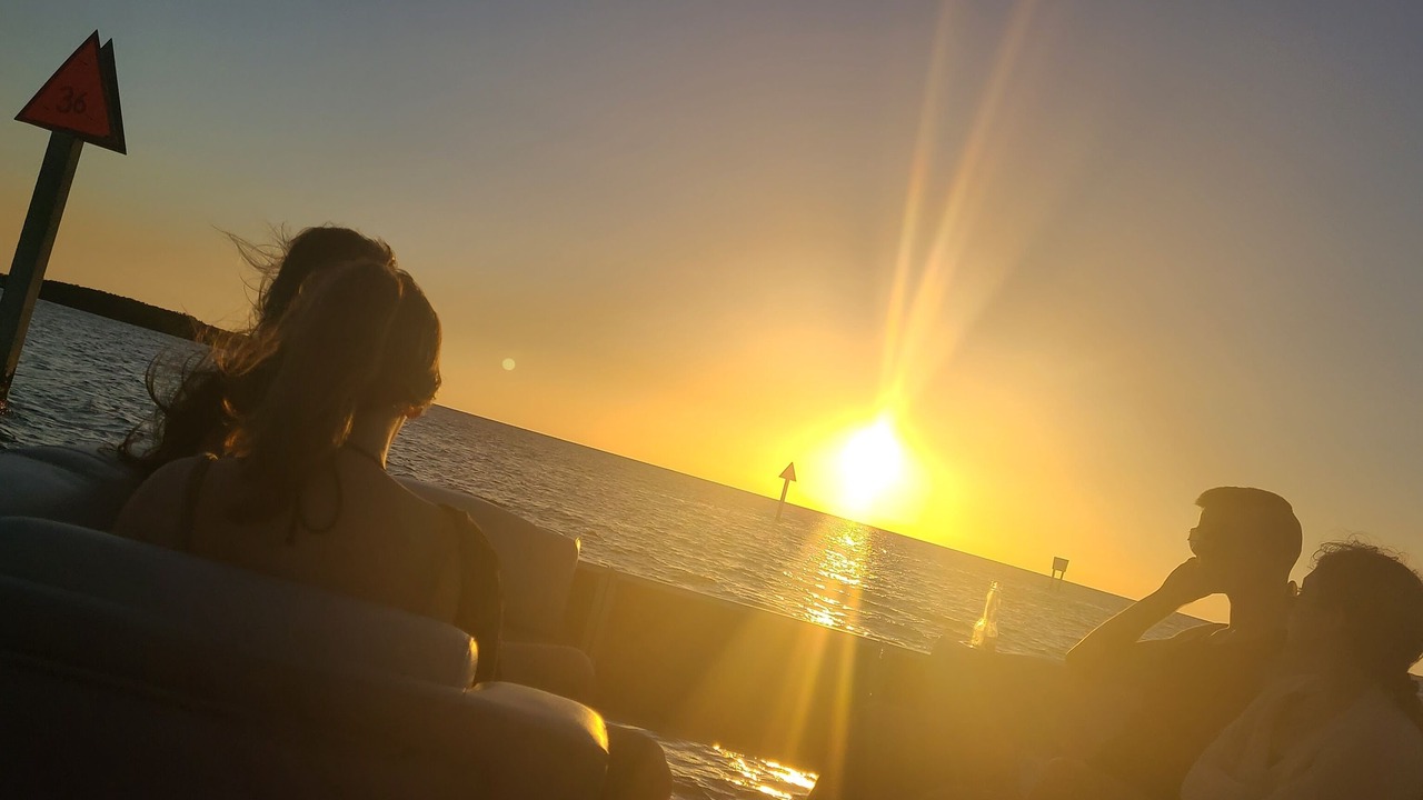 Photo of Others in Homosassa