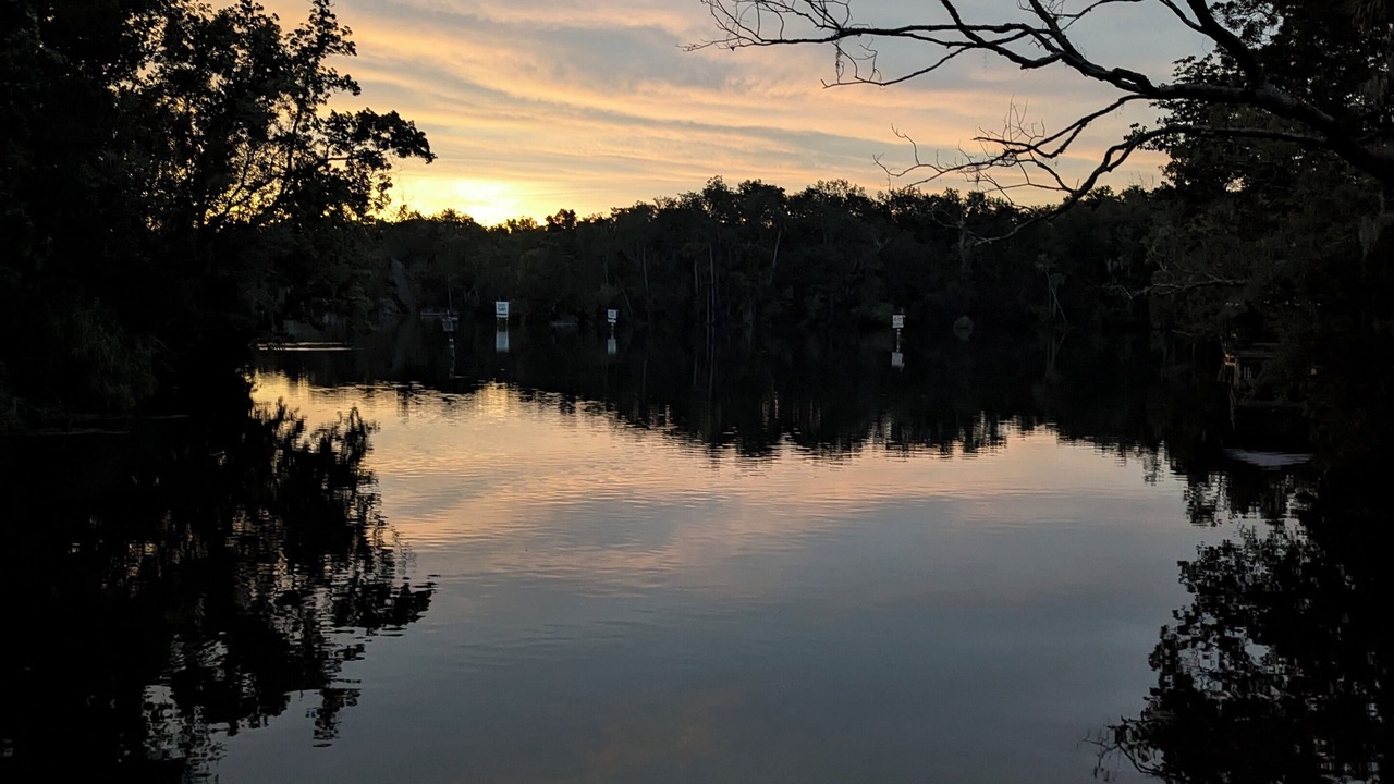 Photo of Others in Homosassa