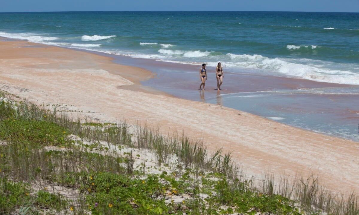 Photo of Others in Ormond-by-the-Sea