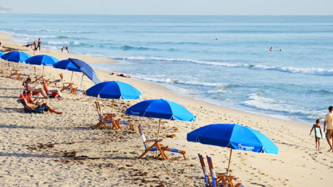 Photo of Others in Boynton Beach