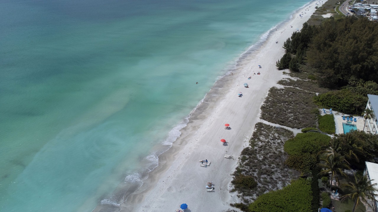 Photo of Others in Longboat Key