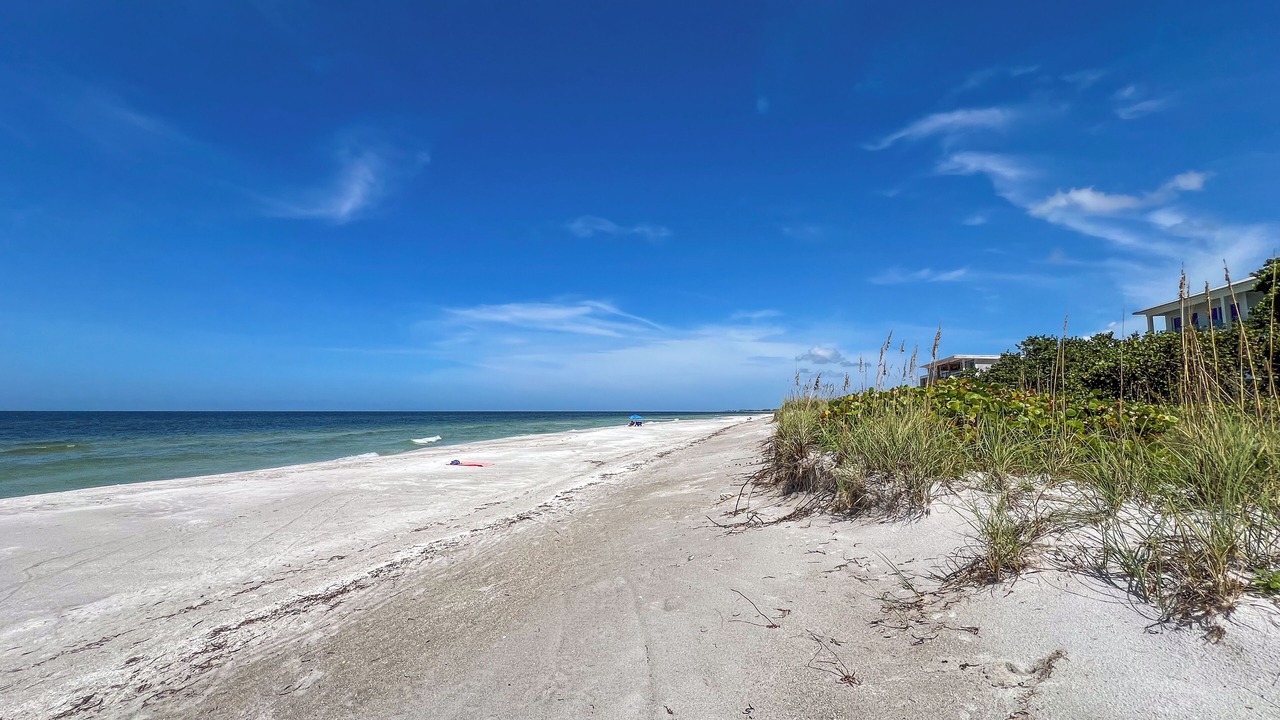Photo of Others in Longboat Key
