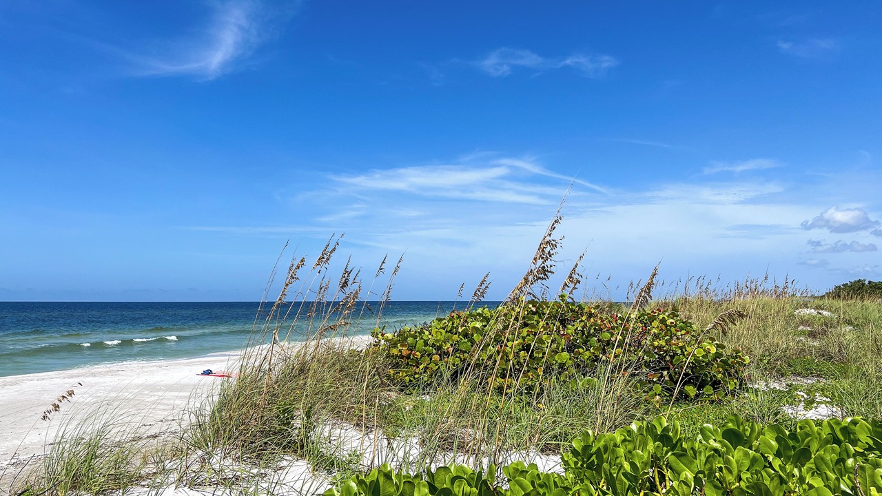 Photo of Others in Longboat Key