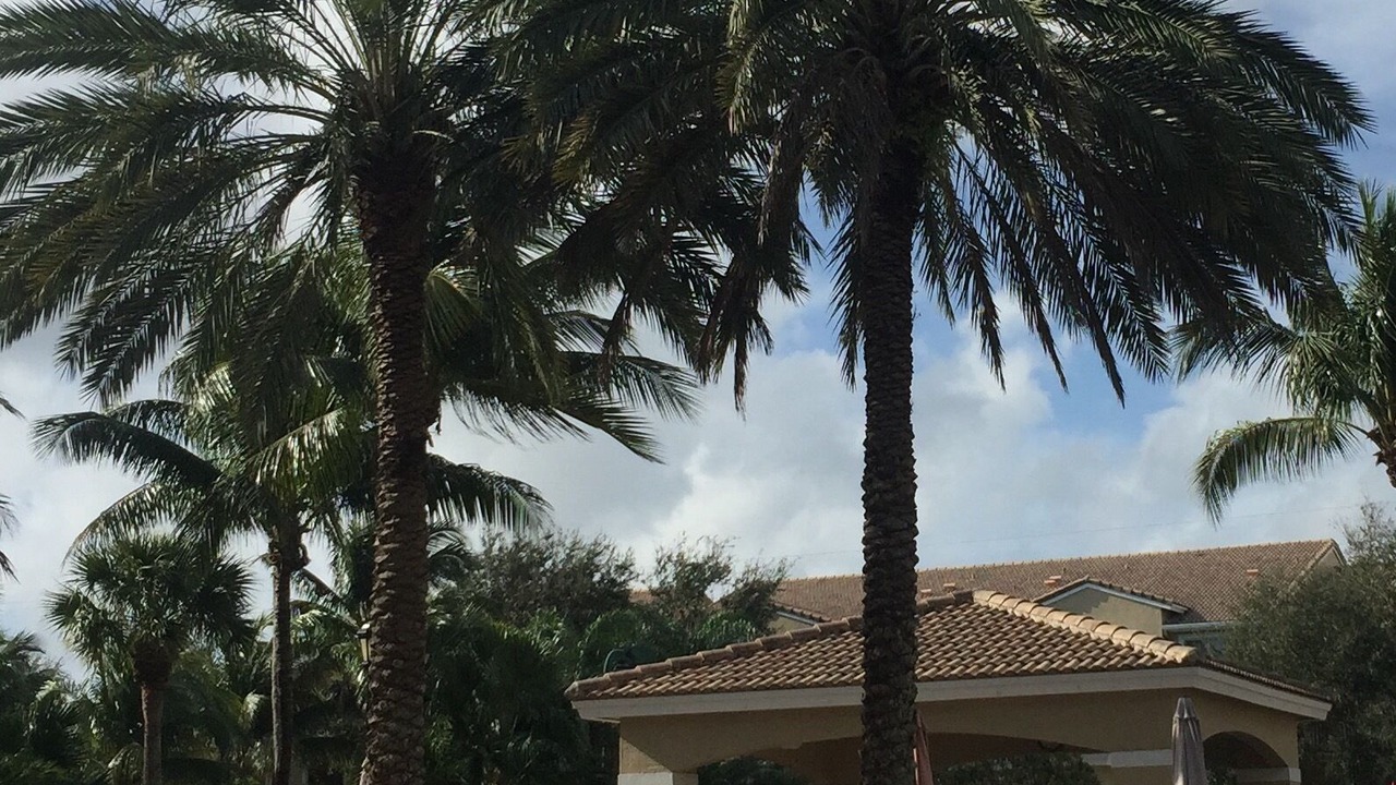 Photo of Outdoor in Tequesta