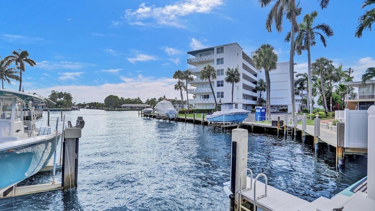 Photo of Others in Dolphin Isles