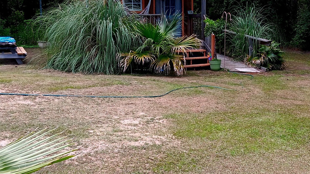 Photo of Outdoor in Florida Panhandle