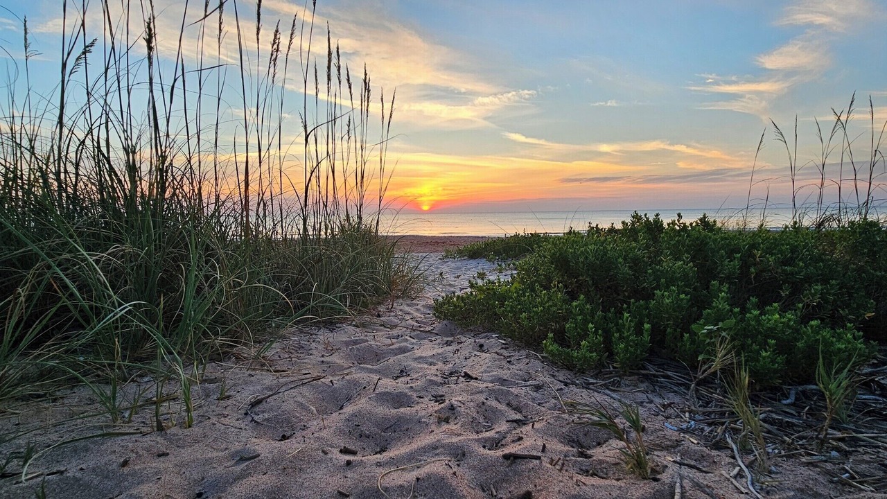 Photo of Others in Volusia County