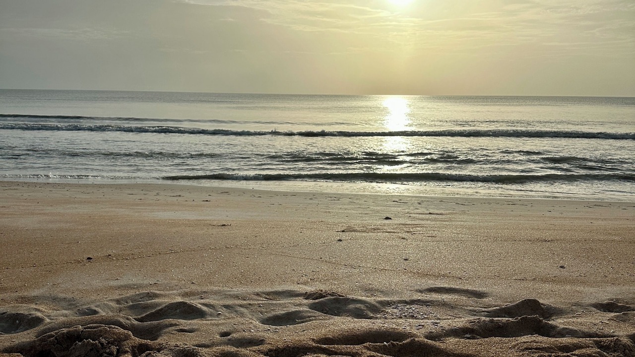 Photo of Others in Volusia County