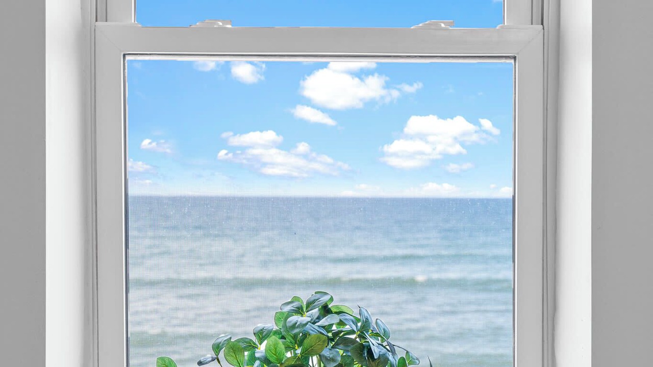 Photo of Others in South Patrick Shores