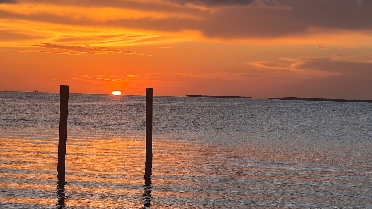 Photo of Others in Islamorada