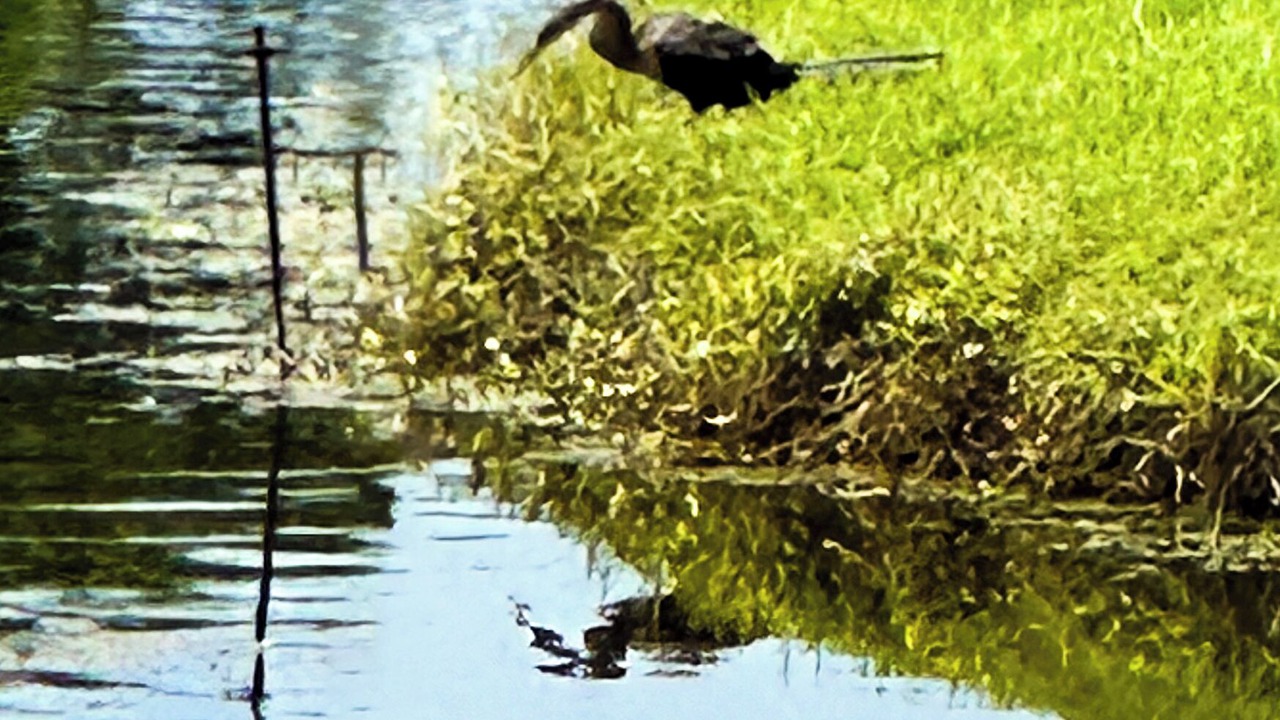 Photo of Others in Pebble Beach