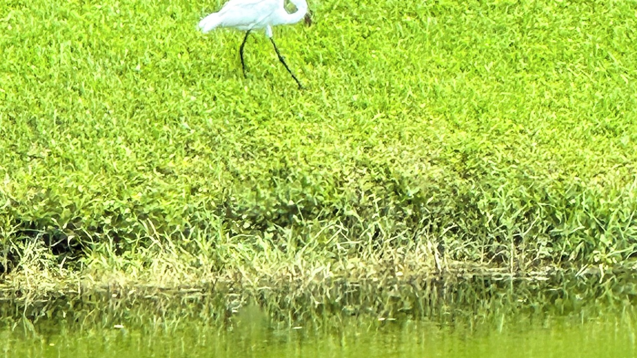 Photo of Outdoor in Pebble Beach