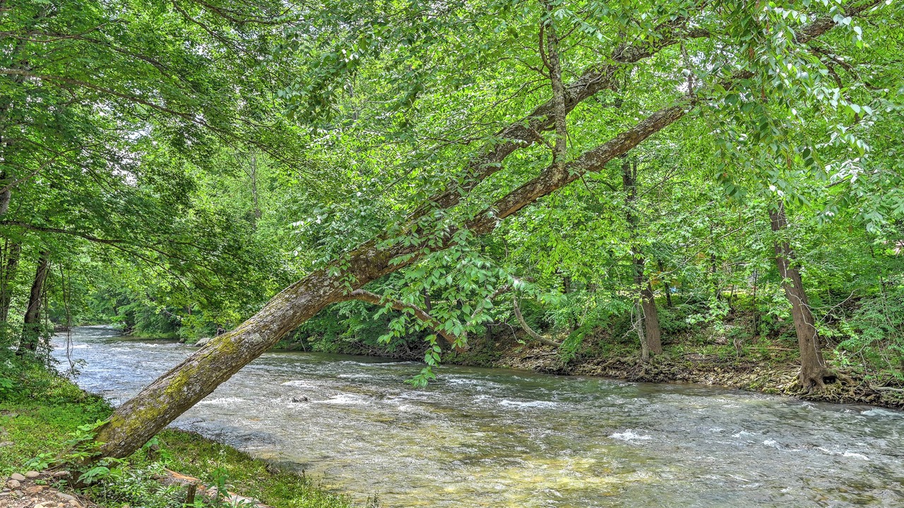 Photo of Others in Canton