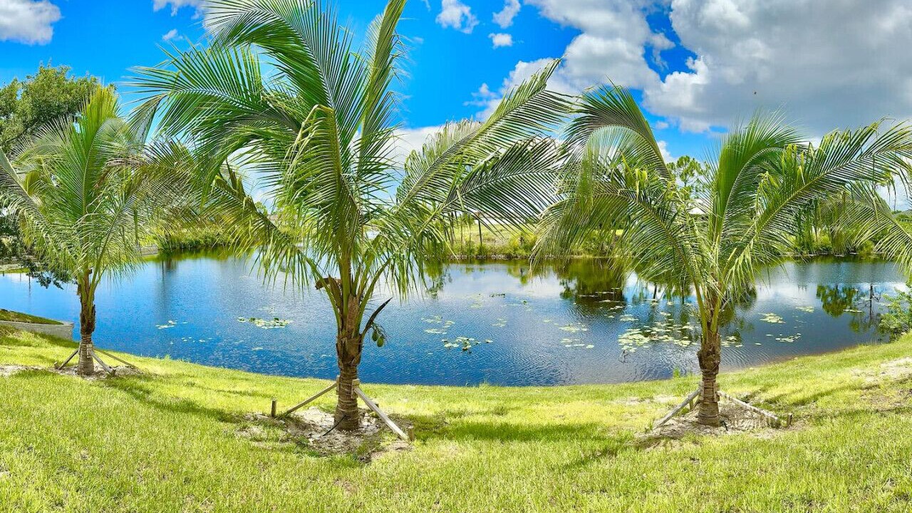 Photo of Outdoor in Mariner