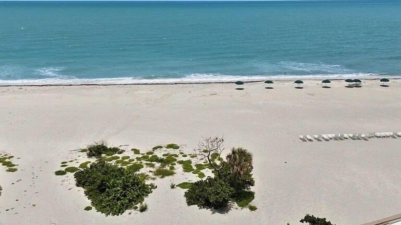 Photo of Others in Sanibel