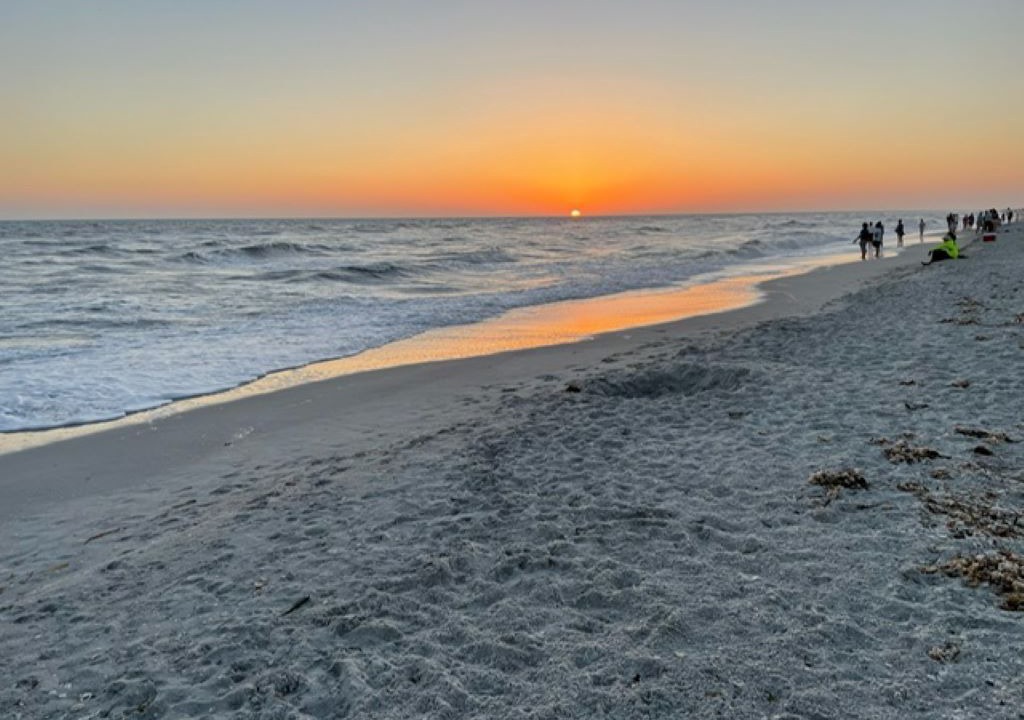 Photo of Others in Sanibel