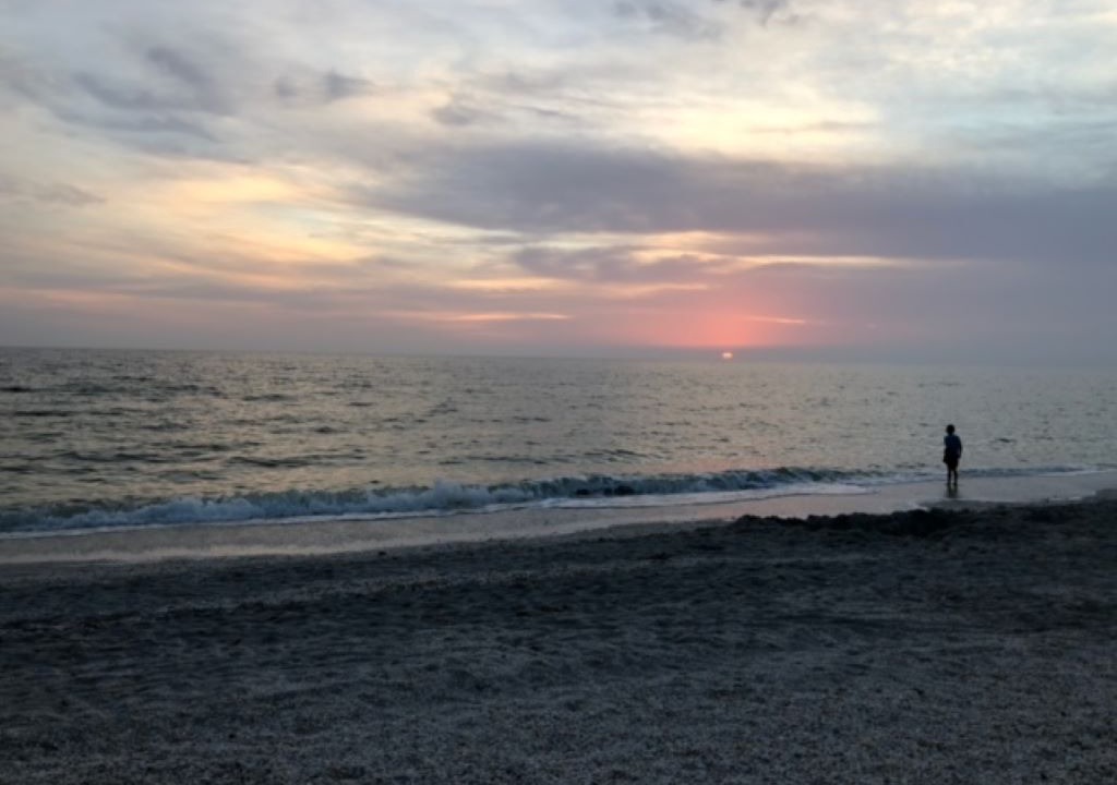 Photo of Others in Sanibel