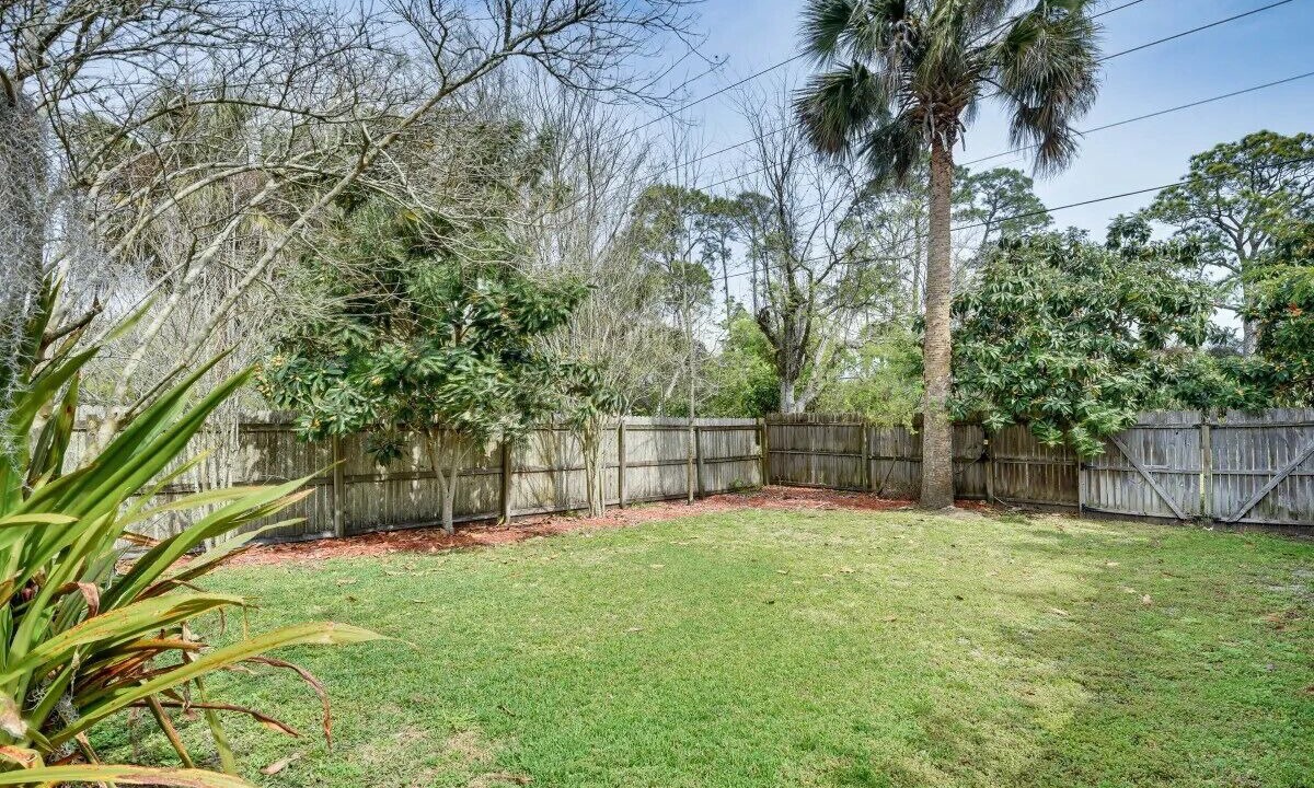 Photo of Outdoor in Palm Harbor