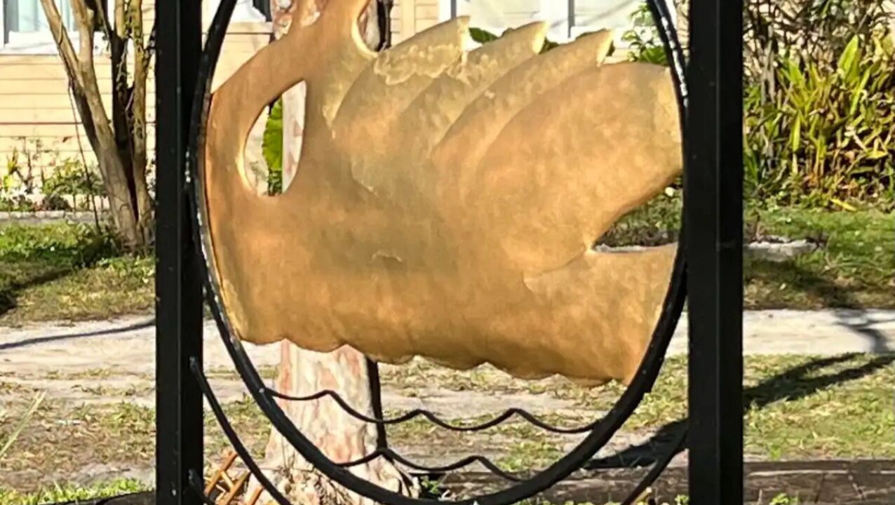 Photo of Outdoor in Lakeland