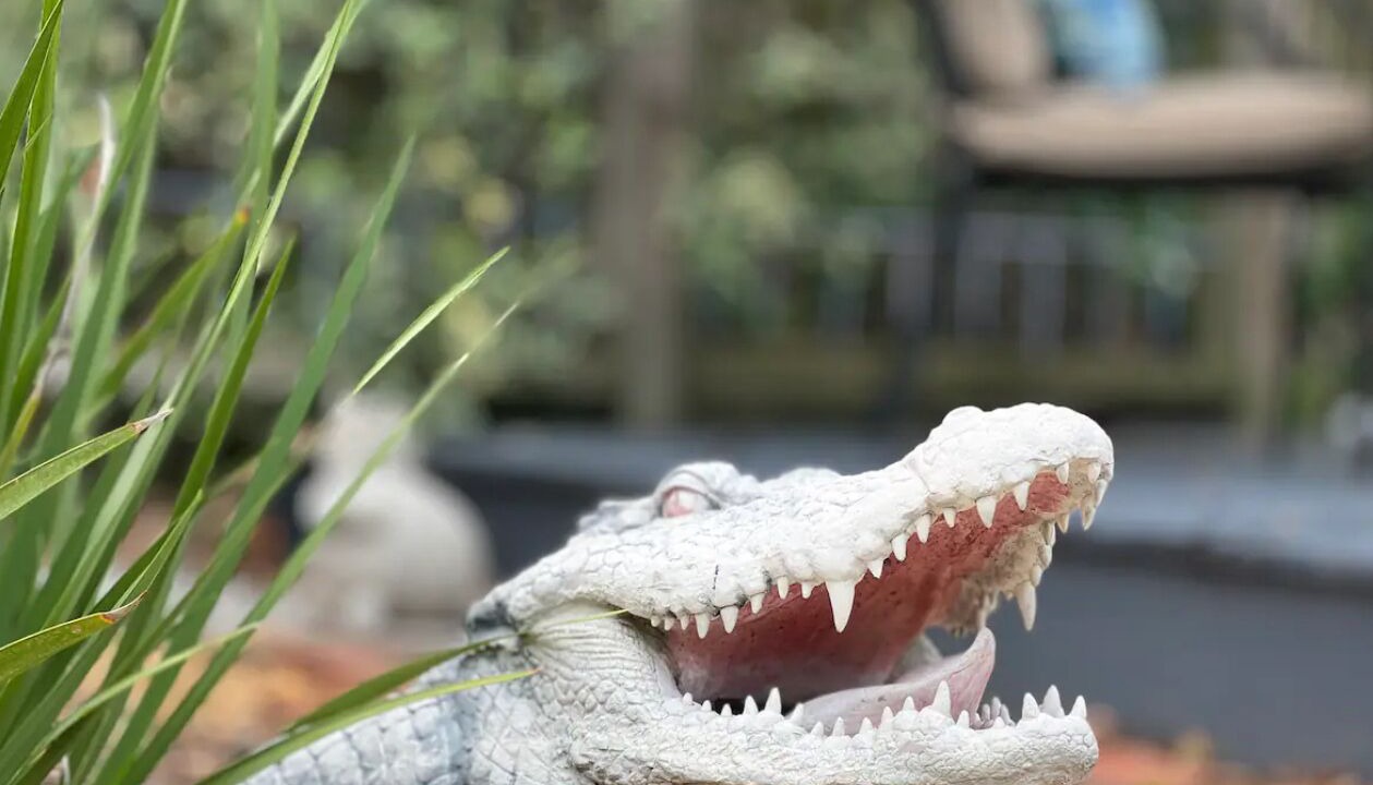 Photo of Others in Lakeland