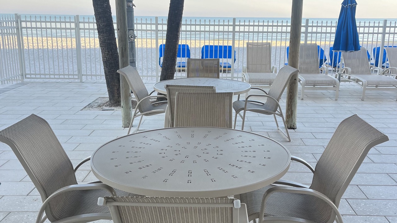 Photo of Outdoor in St. Petersburg - Clearwater