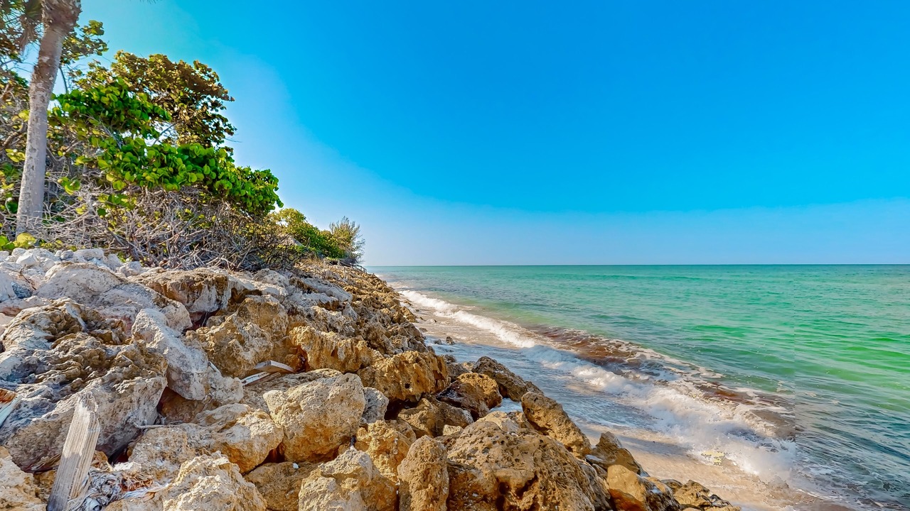 Photo of Others in Nokomis