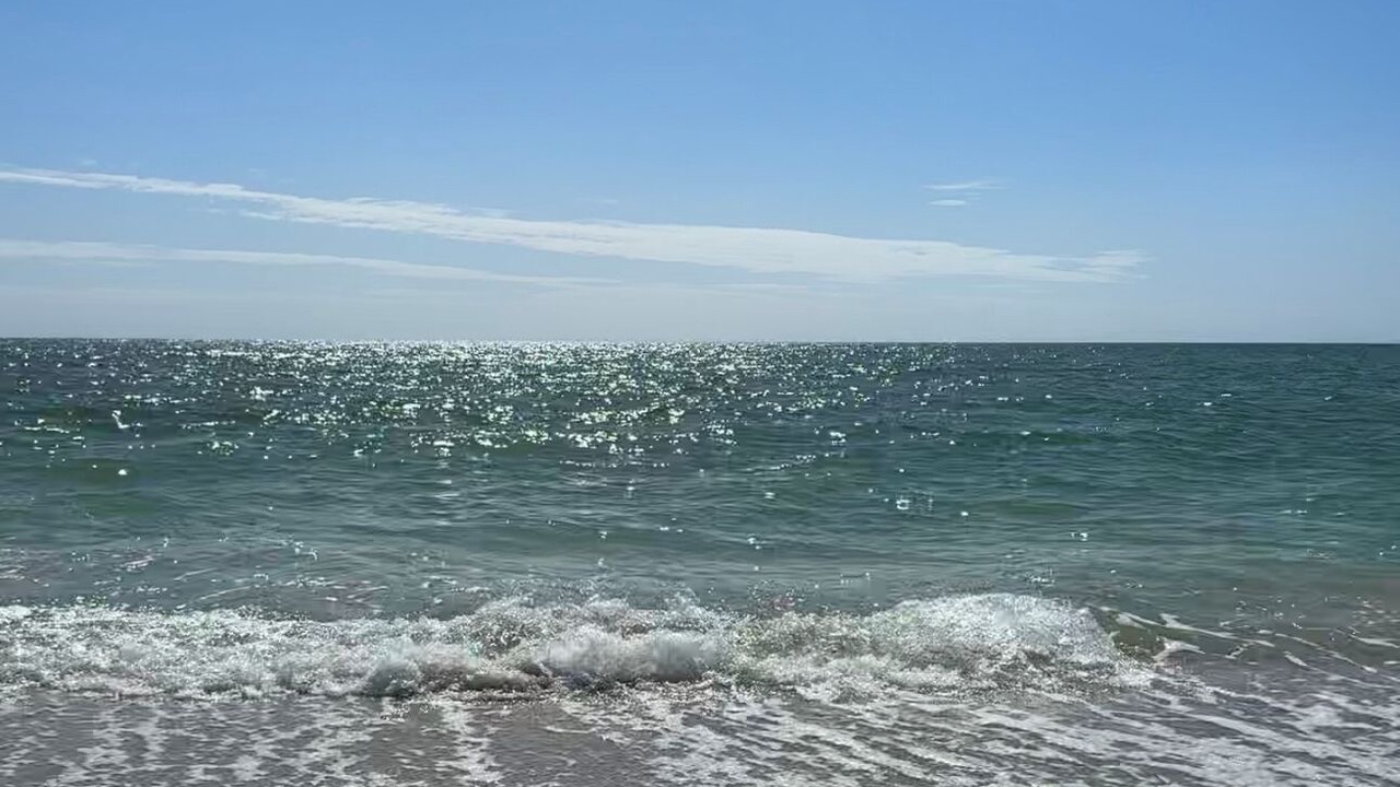 Photo of Others in Safety Harbor Club