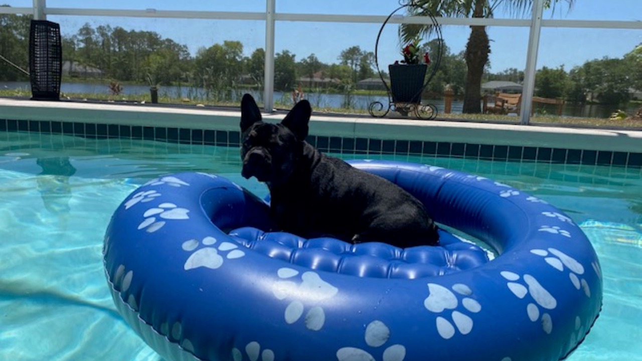 Photo of Outdoor in Palm Coast
