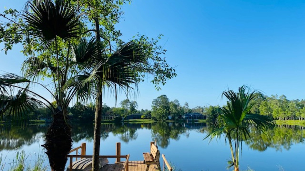 Photo of Outdoor in Palm Coast