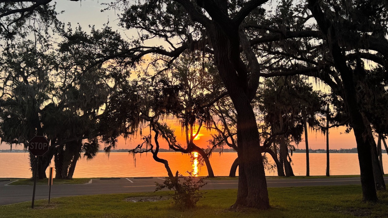 Photo of Others in Clearwater