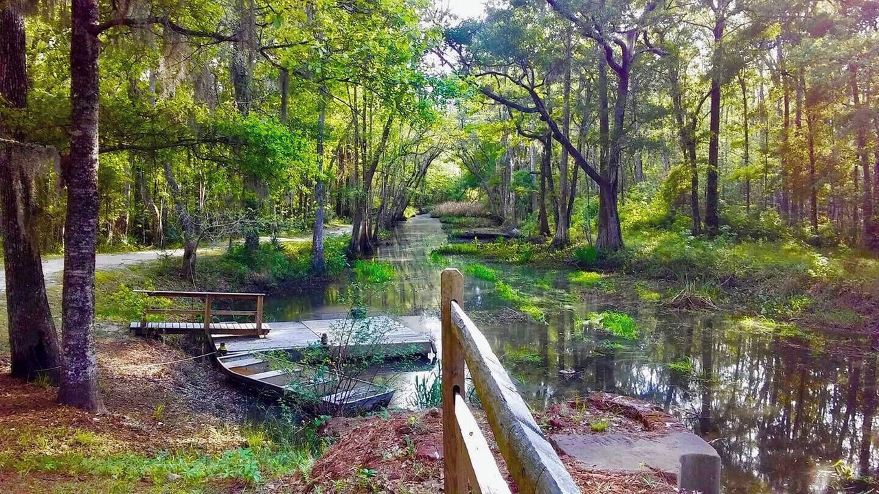 Photo of Outdoor in Savannah