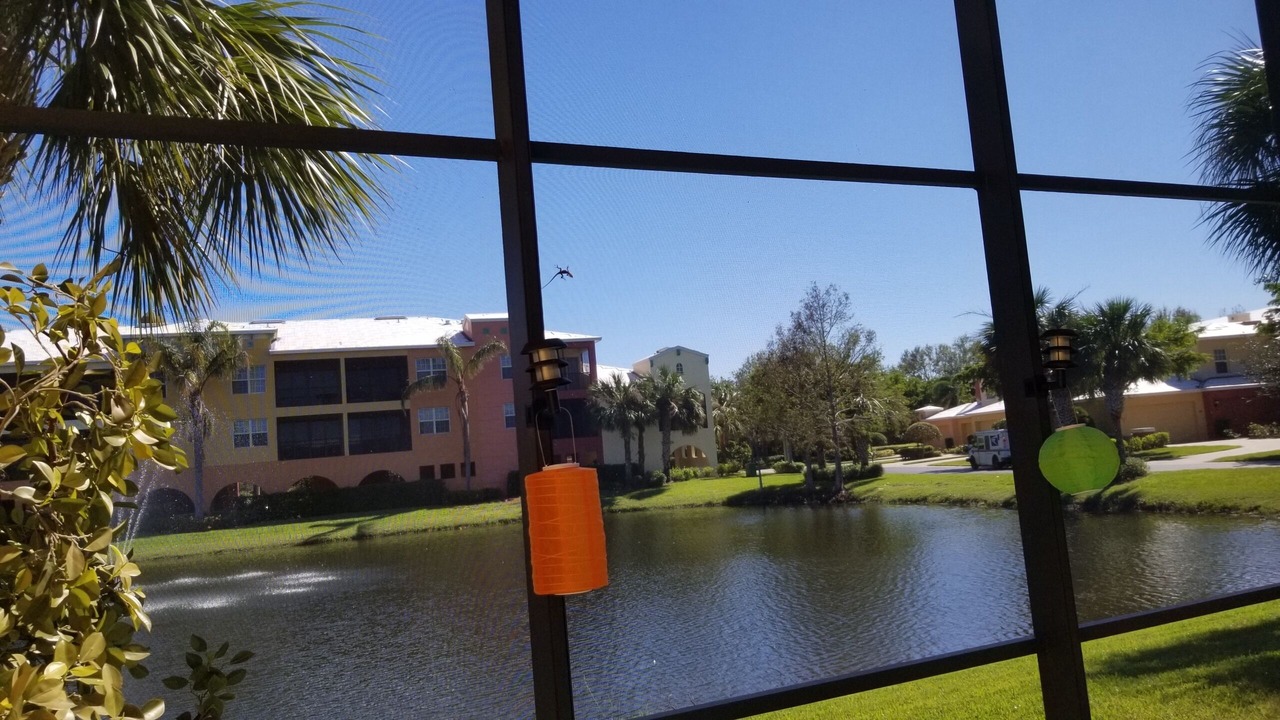 Photo of Others in Bonita Springs